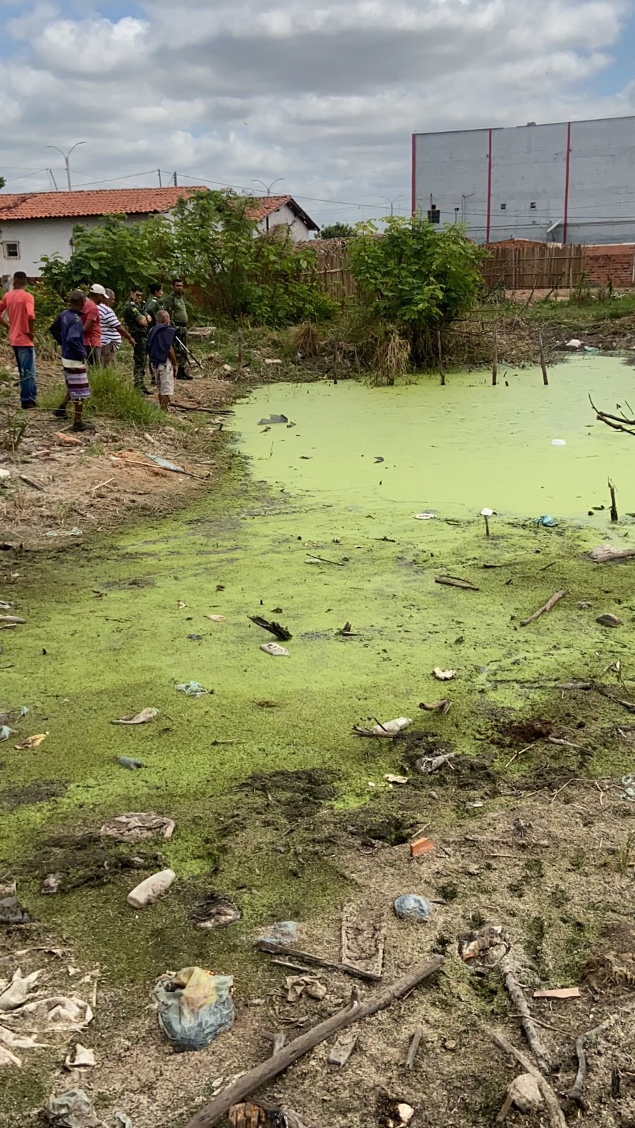 Polícia Ambiental resgata jacarés em lagoa atrás do Atacadão Lays em União (PI)